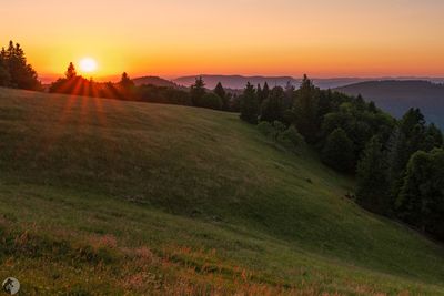 Featured Gallery