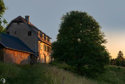 Paysages et ambiance