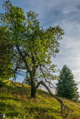 Featured Gallery