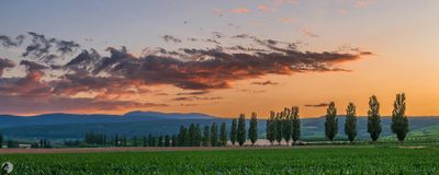 Featured Gallery