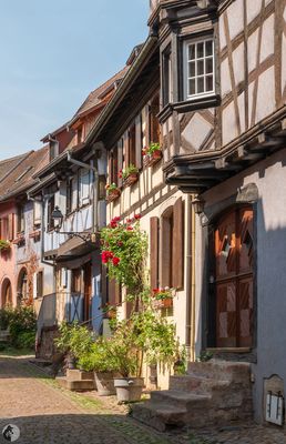 Ma région