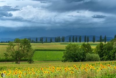 Paysages et ambiance