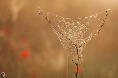 Featured Gallery