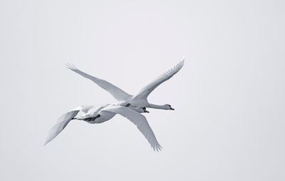 _DSC6798AB.jpg