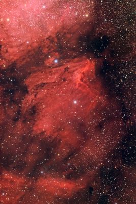 IC 5070, the Pelican Nebula