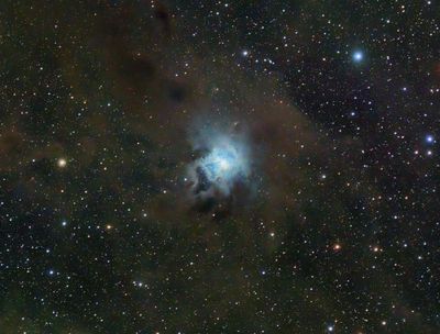 The Iris Nebula