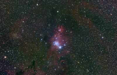 NGC 2264, The Christmas Tree Cluster and The Cone Nebula