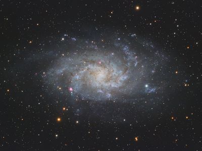 The Triangulum Galaxy