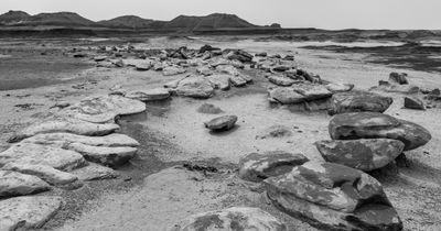 The Bisti New Mexico