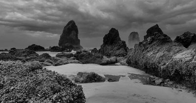 Oregon Beach