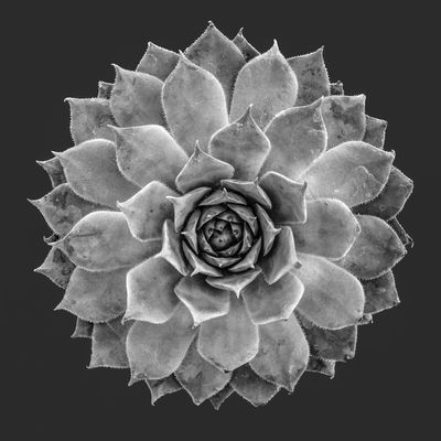 g13/69/667369/3/173412939.869ea55e.JPEG