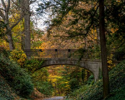 Fall colors
