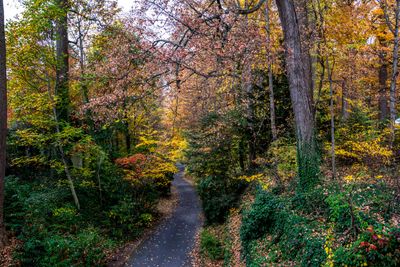 Fall colors