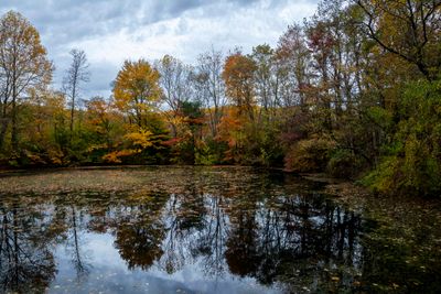 Fall colors