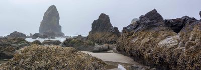Oregon Beach