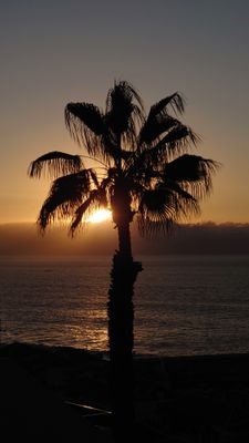 DSC_8106~2.JPG