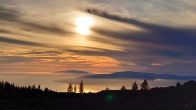 DSC_8350~2.JPG