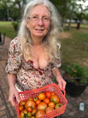 Tomatoes and Mellons!