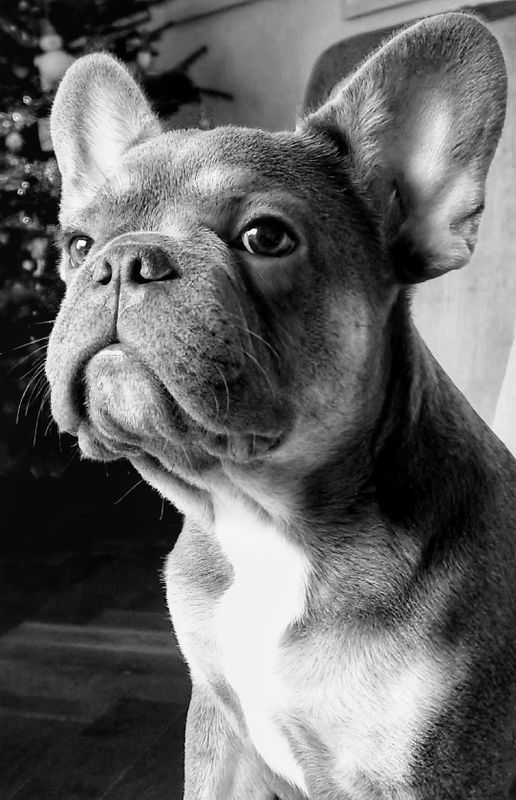 Chinny, the latest addition
