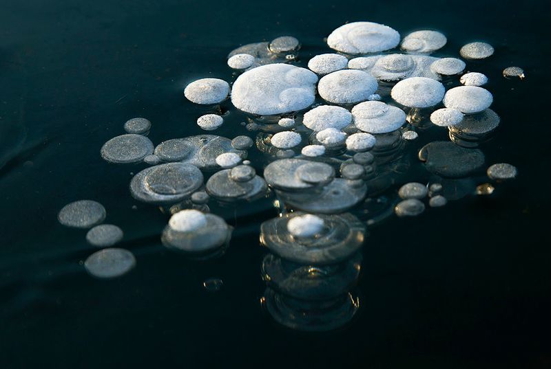 coins in the ice