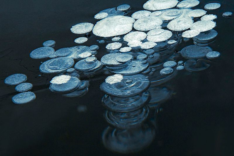 'coins' in the ice. 