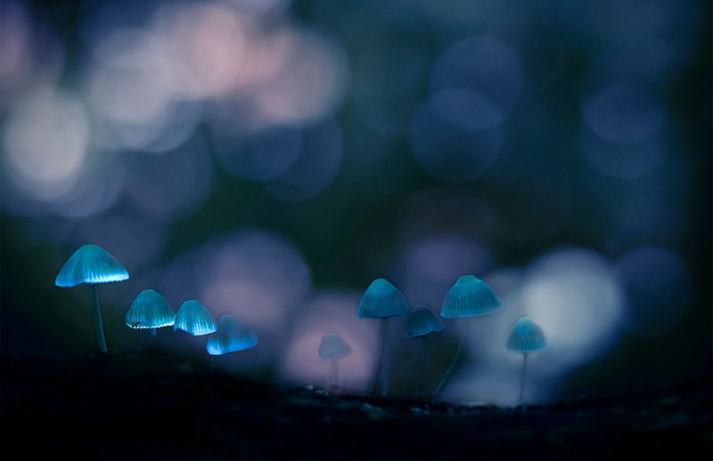 Magic world