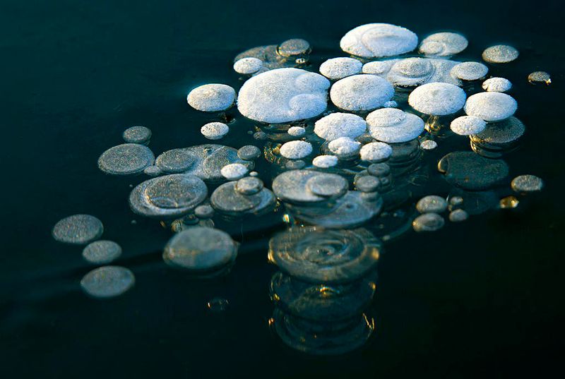 coinsin the ice 
