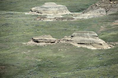 Grass Lands East Block