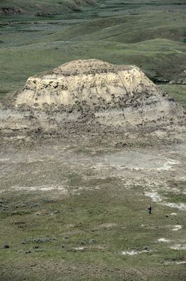 Grass Lands East Block