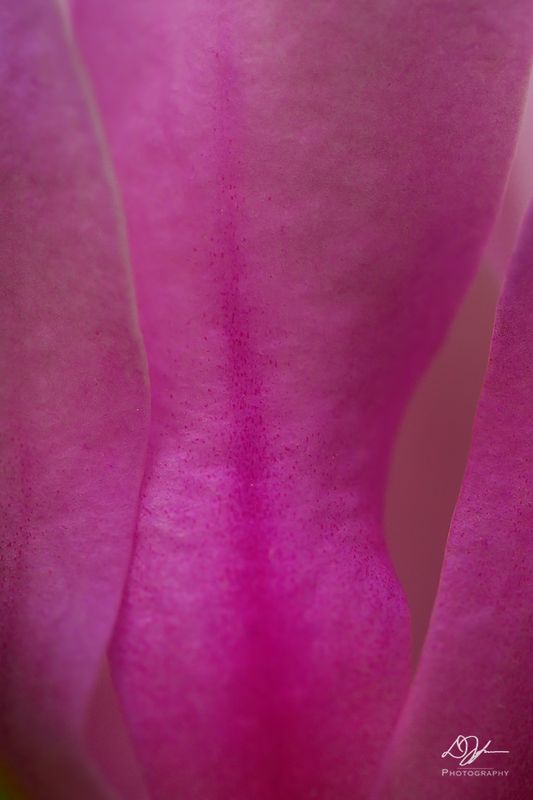 03062023001-WEB.jpg