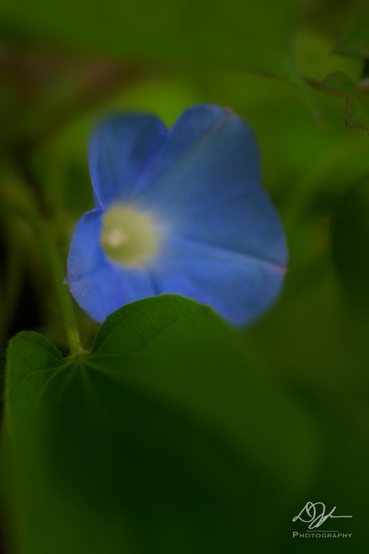 05162023001-WEB.jpg