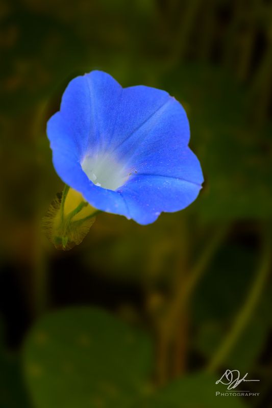 07222023001-WEB.jpg