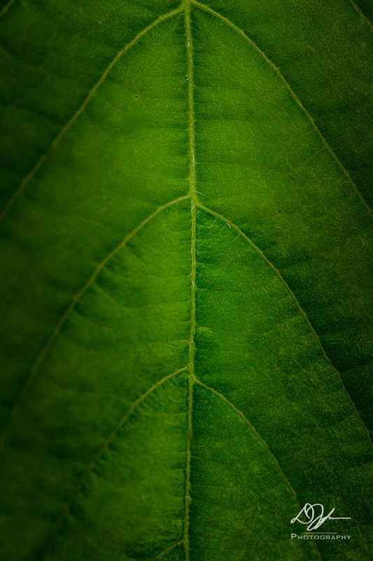 07272024001-WEB.jpg