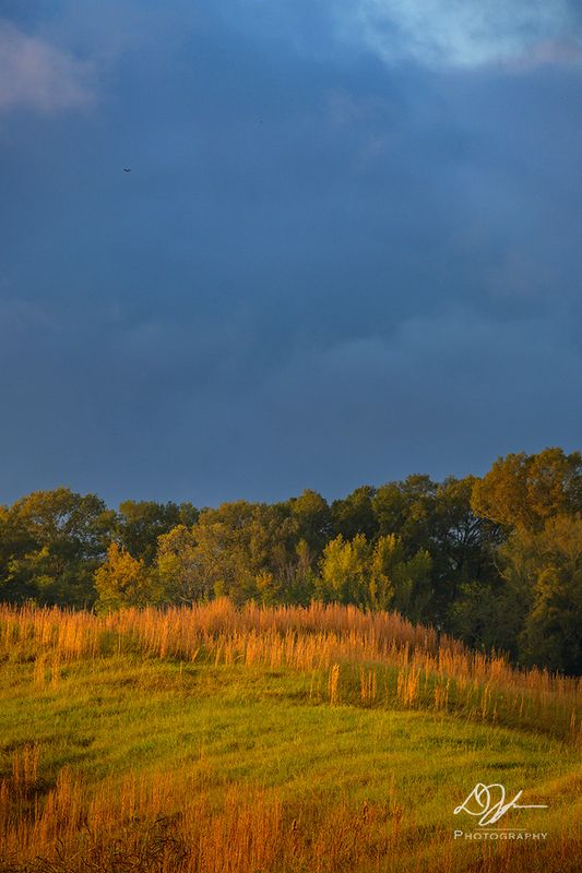 11112024001WEB.jpg