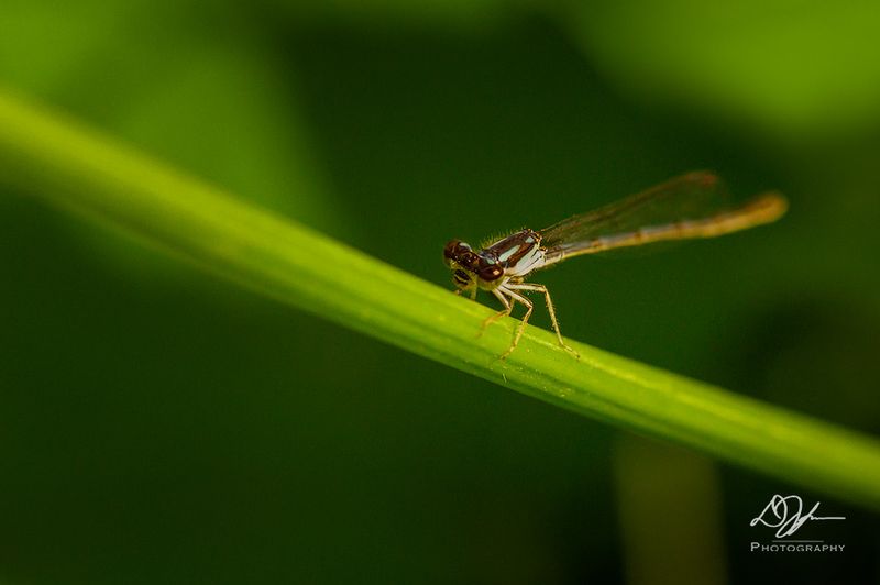 06092025001WEB.jpg