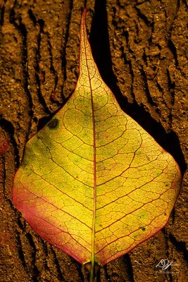 11082022001-WEB.jpg