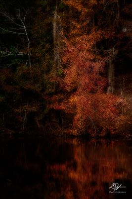 12042022002-WEB.jpg