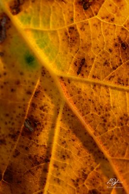 12082022001-WEB.jpg