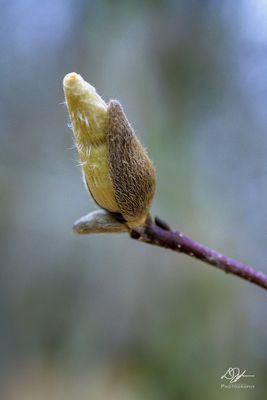 01302023001-WEB.jpg