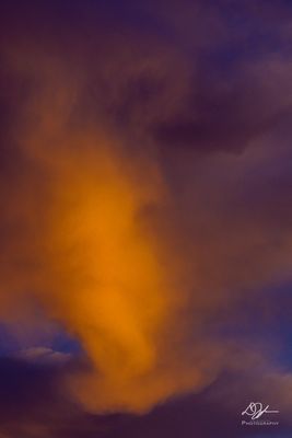 02052023001-WEB.jpg