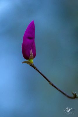 02112023001-WEB.jpg