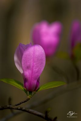 02252023001-WEB.jpg