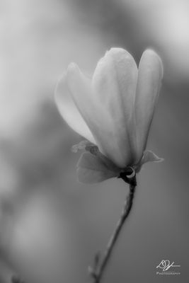 03012023001-WEB.jpg
