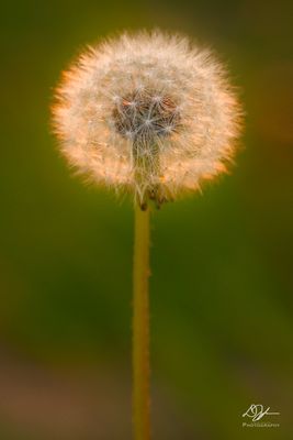 03052023001-WEB.jpg