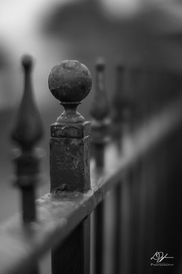 03122023001-WEB.jpg
