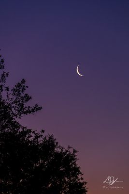 04172023001-WEB.jpg