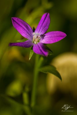 04192023001-WEB.jpg
