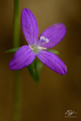 04292023001-WEB.jpg
