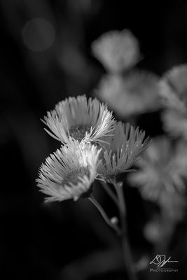 05012023001-WEB.jpg