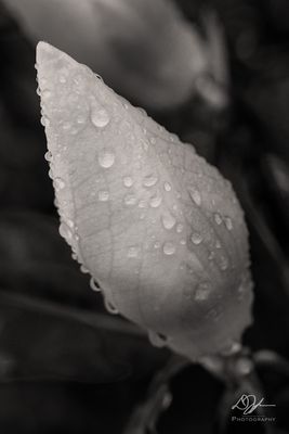 05052023001-WEB.jpg